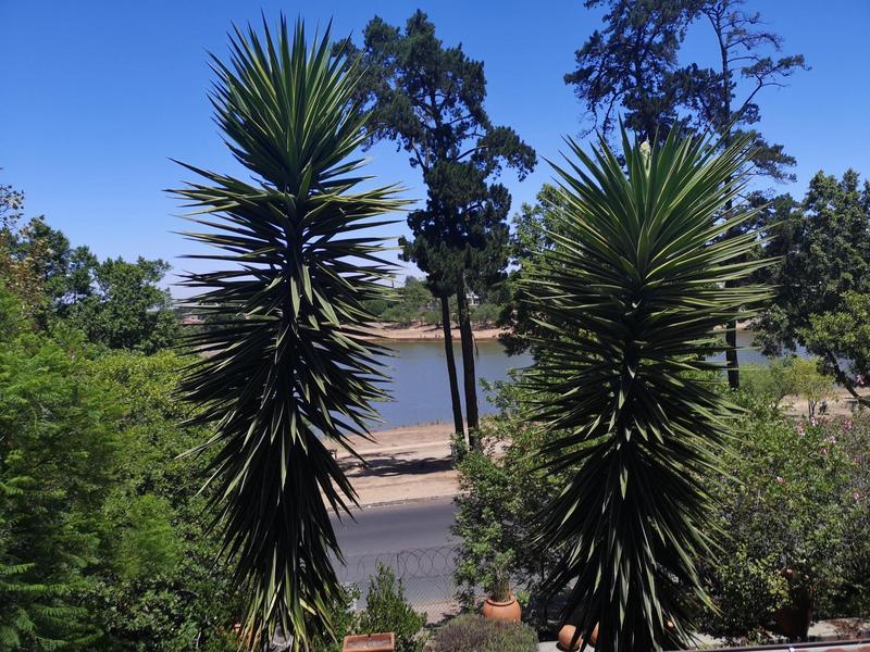 1 Bedroom Property for Sale in Sonstraal Western Cape